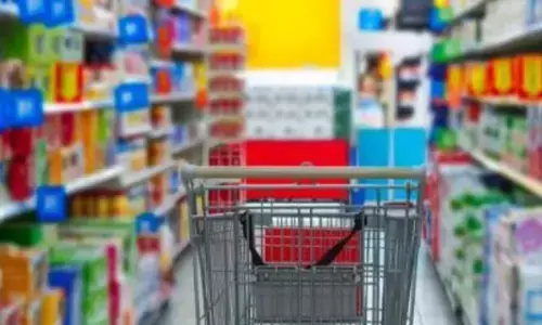 Price Data: ద్రవ్యోల్బణ డేటా కోసం ఈ-కామర్స్, ఆన్‌లైన్ ప్లాట్‌ఫామ్‌ల నుంచి వివరాల సేకరణ