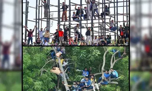 కోహ్లీ కోసం చెట్టెక్కిన అభిమానులు