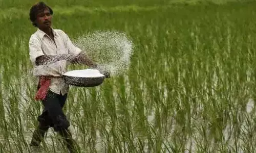 యూరియా వాడకాన్ని తగ్గించాలని కేంద్రం ఆదేశాలు.. రాష్ట్రంలో అవగాహన సదస్సులు