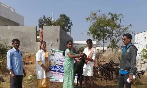 న‌ట్ట‌ల రోగాలు రాకుండా ఉండాలంటే టీకాలు త‌ప్ప‌నిస‌రి