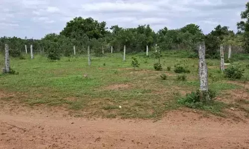 అక్రమాల అంజనా.. లేఅవుట్ వెనుక భారీ స్కామ్