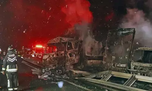జపాన్‌లో ఘోర రోడ్డు ప్రమాదం.. 50 వాహనాల ఢీ