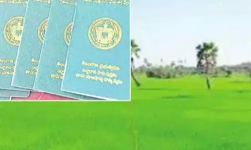 పత్తాలేని పట్టా బుక్కులు..