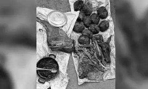 అత్తాపూర్‌లో జింక మాంసం కలకలం