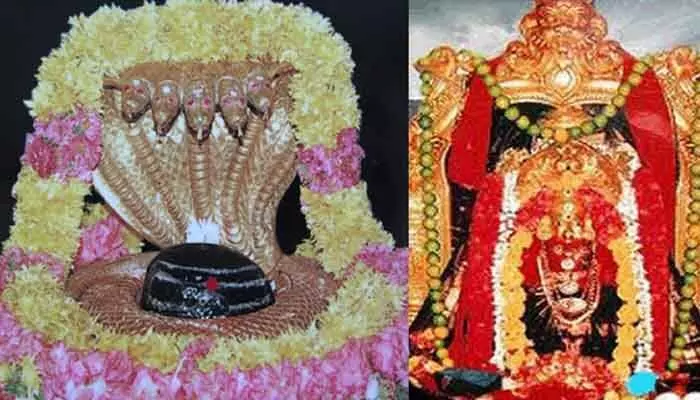 చెంచులకు ఉచితంగా స్పర్శ దర్శనం చెంచులకు ఉచితంగా స్పర్శ దర్శనం