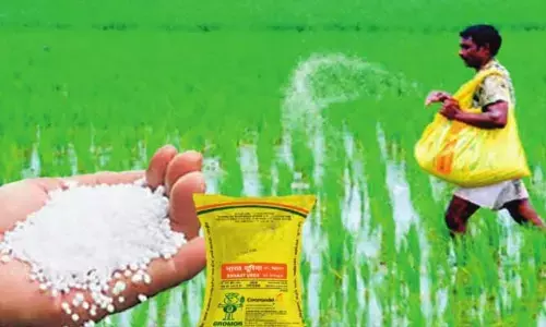 రైత‌న్న‌ల‌కు బిగ్ షాక్‌..  తగ్గిన యూరియా తయారీ!