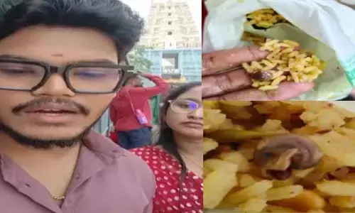 సింహాచలం పులిహోర ప్రసాదంలో నత్త.. ఘటనపై రంగంలోకి ఇంటెలిజెన్స్ వర్గాలు..?