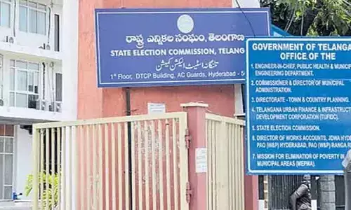 రాష్ట్ర ఎన్నికల సంఘం దూకుడు.. మున్సిపాలిటీల ముసాయిదా ఓటరు జాబితా వెల్లడి