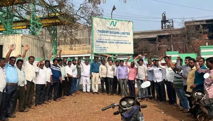 ట్రైడెంట్ చక్కెర కర్మాగారం ముందు కార్మికుల ఆందోళన ట్రైడెంట్ చక్కెర కర్మాగారం ముందు కార్మికుల ఆందోళన