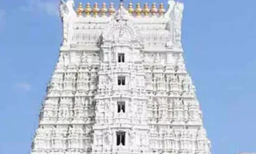 తిరుపతిలో క‌ల‌క‌లం...గోపురం పైకి ఎక్కి ఓ వ్యక్తి హ‌ల్చ‌ల్