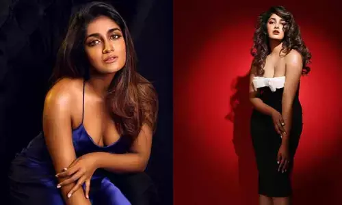 చేదు అనుభవం నుంచి గుణపాఠం నేర్చుకున్నా.. ఈసారి ఆ తప్పు జరగదు: డింపుల్ హయాతీ