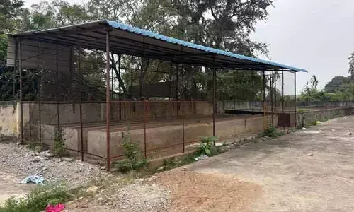 ఆచూకీ లేని కంపోస్టు తయారీ..