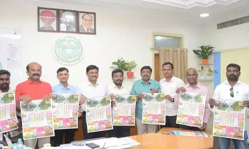 మీడియా రంగంలో దిశ పత్రికకు ప్రత్యేక గుర్తింపు :  క‌లెక్ట‌ర్ బ‌డుగు చంద్ర‌శేఖ‌ర్