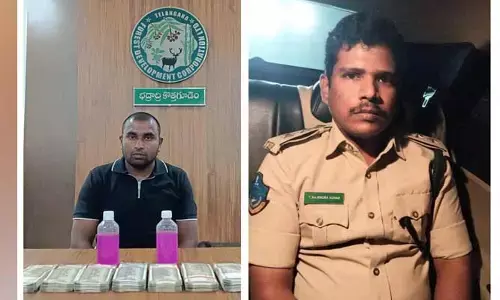 ఏసీబీకి చిక్కిన అటవీ తిమింగలాలు..