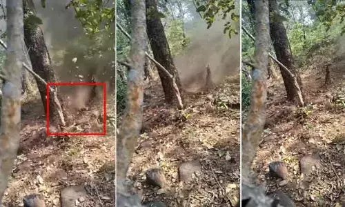 IED Bombs: బస్తర్ పరిధిలో 5 కిలోల ఐఈడీ బాంబుల కలకలం.. తప్పిన పెను ప్రమాదం
