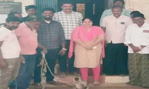 కోతుల బెడ‌ద నుంచి ర‌క్ష‌ణ కోసం కొండ‌ముచ్చు బ‌హుక‌ర‌ణ