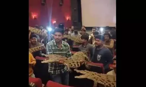 ఎంతైనా డార్లింగ్ ఫ్యాన్స్ తో మామూలుగా ఉండదు!