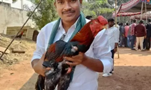 పైలం గురూ.. సంక్రాంతికి వస్తున్నాం.!