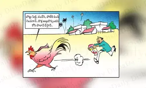 Disha Cartoon: కొత్త అల్లుడికి కోడి పలావ్ చేస్తావని నాకు తెలుసు