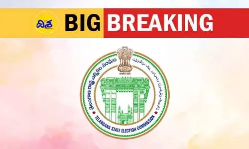 మున్సిపల్ ఎన్నికలకు సర్వం సిద్ధం.. వార్డుల వారీగా ఓటర్ల తుది జాబితా విడుదల
