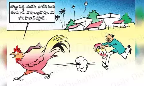 Disha Cartoon: సంక్రాంతి పండుగ సందర్భంగా నిర్వహించే కోడి పందేలపై ‘దిశ’ హిలేరియస్ కార్టూన్...