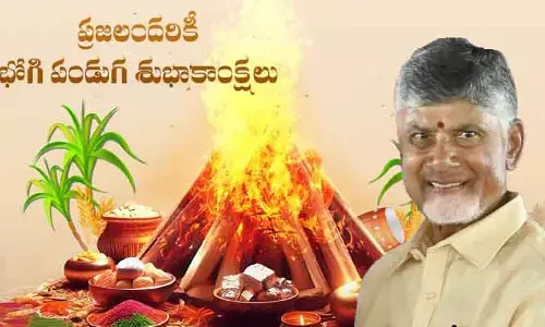 భోగి మంటలు కొత్త వెలుగులు తేవాలి.. తెలుగు ప్రజలకు సీఎం చంద్రబాబు విషెస్