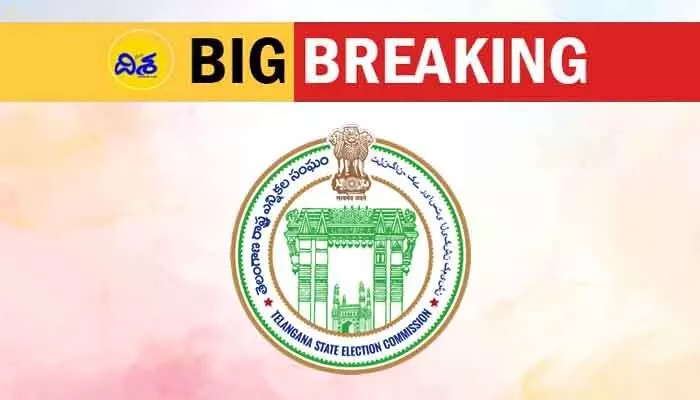 మున్సిపల్ ఎన్నికలకు సర్వం సిద్ధం.. వార్డుల వారీగా ఓటర్ల తుది జాబితా విడుదల మున్సిపల్ ఎన్నికలకు సర్వం సిద్ధం.. వార్డుల వారీగా ఓటర్ల తుది జాబితా విడుదల