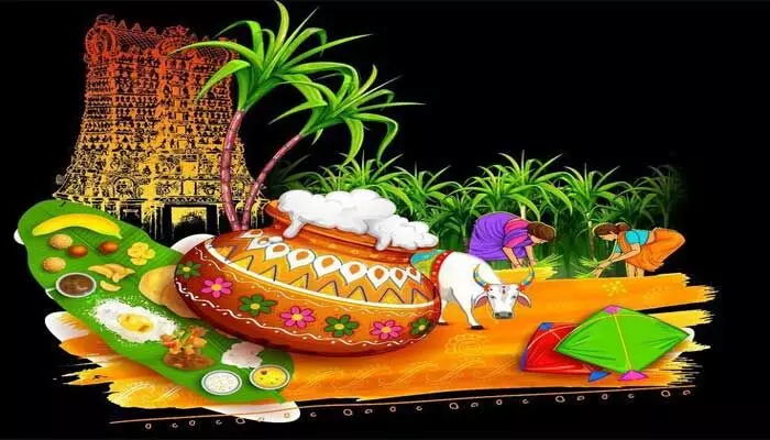 ఆశావాదపు పతంగుల సం‘క్రాంతి’...! ఆశావాదపు పతంగుల సం‘క్రాంతి’...!