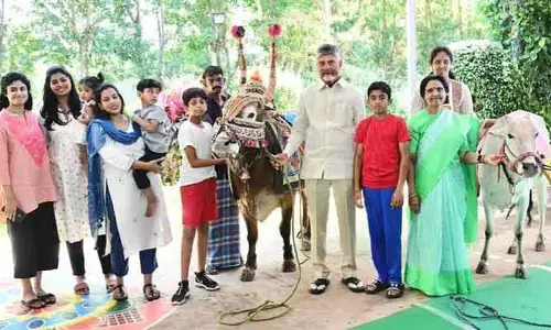 నారావారిపల్లిలో ఘనంగా సంక్రాంతి పండుగ.. కుటుంబ సభ్యులతో కలిసి సీఎం చంద్రబాబు ప్రత్యేక పూజలు