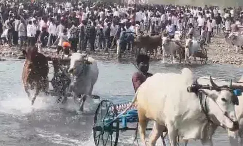 బాబాపూర్ లో ఎడ్లబండి పందాలు