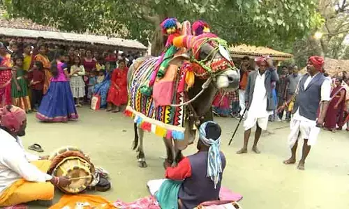 శిల్పారామంలో అంబరాన్నంటిన సంక్రాంతి సంబరాలు.. ఆకట్టుకున్న ఏర్పాట్లు