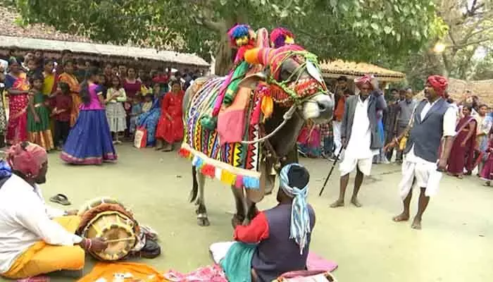 శిల్పారామంలో అంబరాన్నంటిన సంక్రాంతి సంబరాలు.. ఆకట్టుకున్న ఏర్పాట్లు శిల్పారామంలో అంబరాన్నంటిన సంక్రాంతి సంబరాలు.. ఆకట్టుకున్న ఏర్పాట్లు