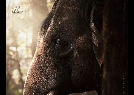 ‘కటాలన్’ : రిలీజ్ డేట్ ప్రకటించిన మేకర్స్ ‘కటాలన్’ : రిలీజ్ డేట్ ప్రకటించిన మేకర్స్