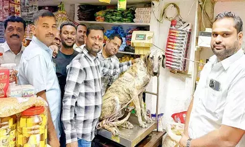 పెంపుడు కుక్కకు ‘నిలువెత్తు బంగారం’