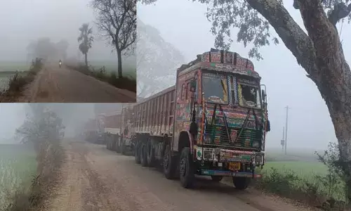 మృత్యుపాశంలా పొగమంచు