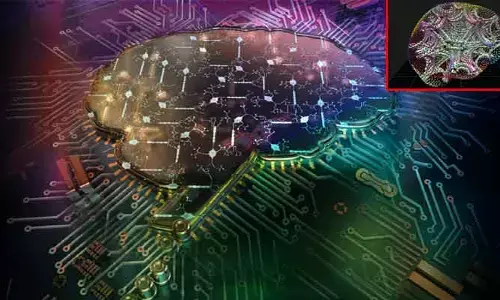 Technology : మెదడు పనితీరును అనుకరించే టెక్నాలజీ.. కృత్రిమ నరాలను క్రియేట్ చేసిన శాస్త్రవేత్తలు!