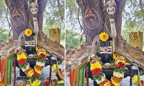 అద్భుత సన్నివేశం.. శివలింగాన్ని చుట్టుకున్న నాగుపాము