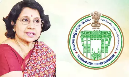 మున్సిపల్ ఎన్నికలపై కీలక అప్‌డేట్.. కలెక్టర్లతో ఎస్‌ఈసీ వీడియో కాన్ఫరెన్స్