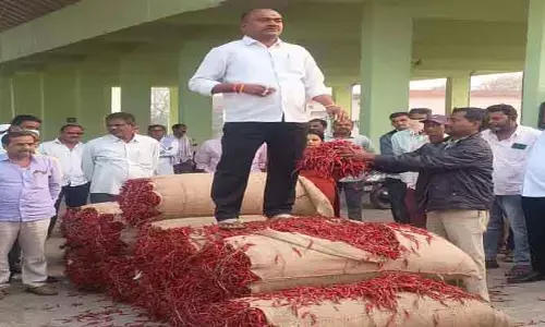 వరంగల్ మార్కెట్ లో తేజా మిర్చి రికార్డు రూ.20,200 ధ‌ర
