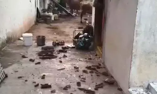 చంద్రగిరి మండలంలో గంజాయి బ్యాచ్ ఆగడాలు