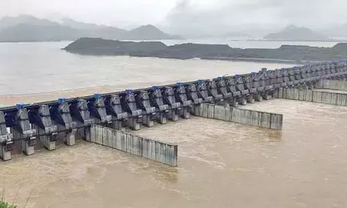 పోలవరంలో విదేశీ బృందం మూడోరోజు పర్యటన