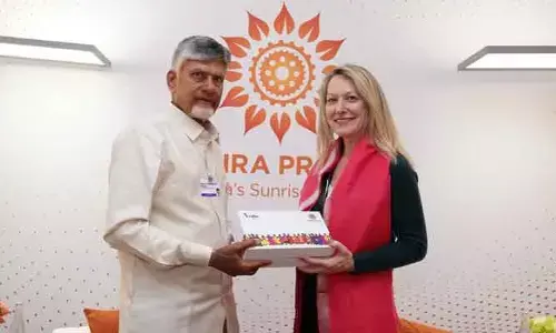 ఎన్విడియా ఉపాధ్యక్షురాలుతో సీఎం చంద్రబాబు కీలక భేటీ
