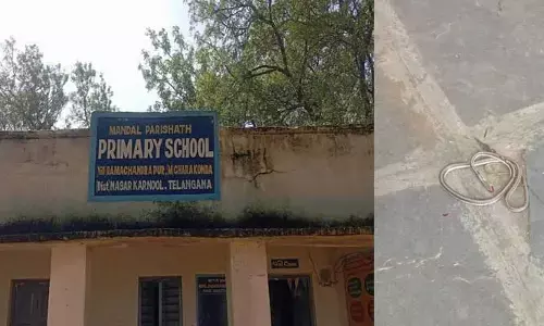 ప్రభుత్వ పాఠశాలలో పాము క‌ల‌క‌లం..!