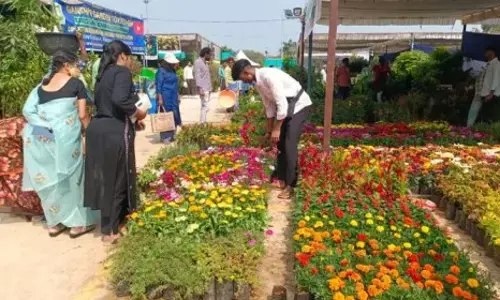 గ్రాండ్​ నర్సరీ మేళాకు అనూహ్య స్పందన