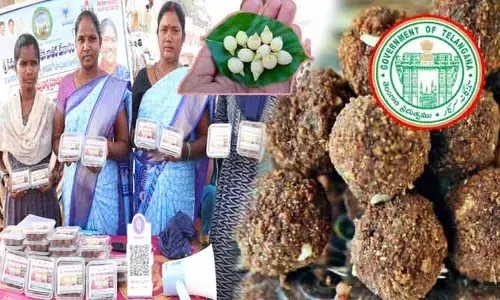 Ippa Puvvu Laddu: మేడారం జాతరలో హెల్త్ ట్రెండ్..  తొలిసారి ఇప్పపువ్వు లడ్డు విక్రయాలు