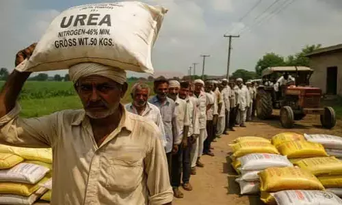 కౌలు రైతుకు తప్పని ‘యూరియా’ కష్టాలు