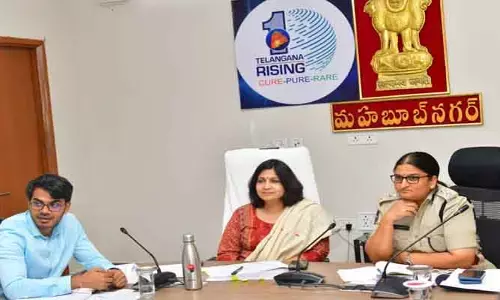 మున్సిపల్ ఎన్నికలను  విజయవంతంగా నిర్వహించాలి :  కలెక్టర్ విజయేందిర బోయి