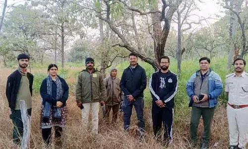 ముగిసిన సర్వే.. తెలంగాణలో మొత్తం ఎన్ని పులులు ఉన్నాయంటే?