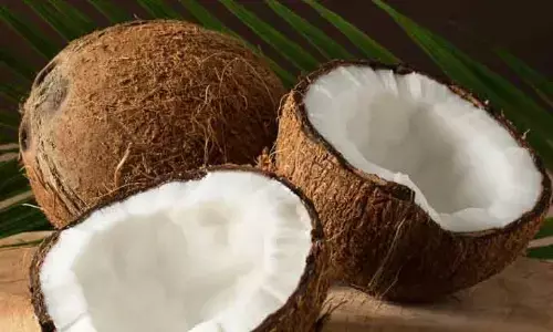 కొండెక్కిన కొబ్బరికాయల ధరలు