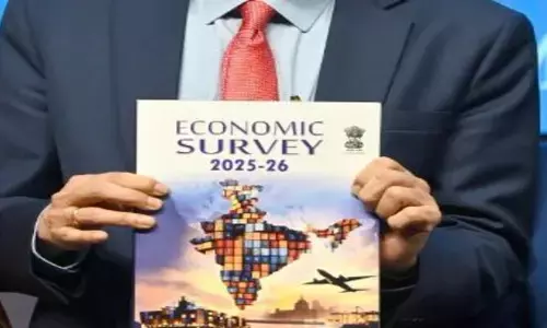 Economic Survery: ఆర్థిక సర్వేపై మొదటిసారిగా ప్రస్తావించిన పవర్ గ్యాప్ ఇండెక్స్.. అసలేంటిది?